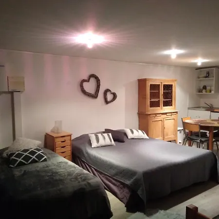 아파트 Loft Grenouillit En Velay *