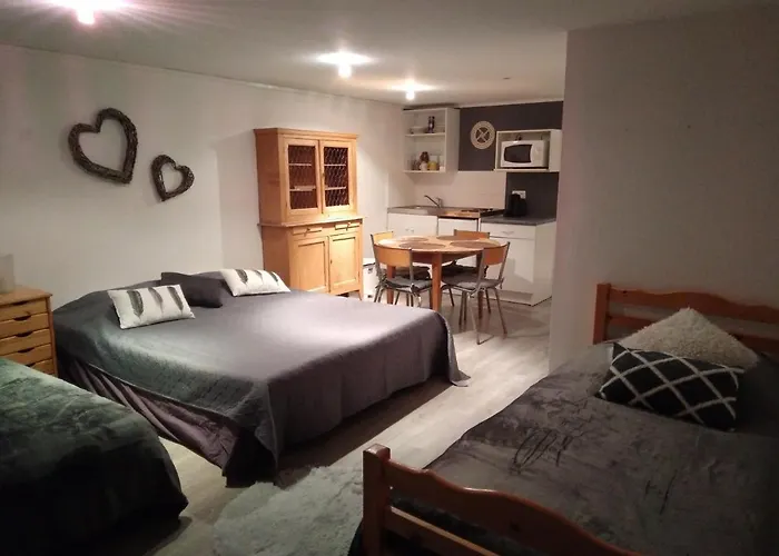 Apartamento Loft Grenouillit En Velay *