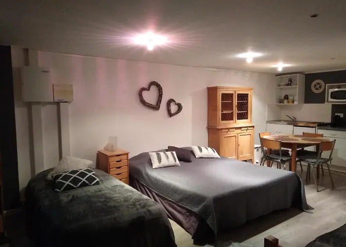 Apartamento Loft Grenouillit En Velay *